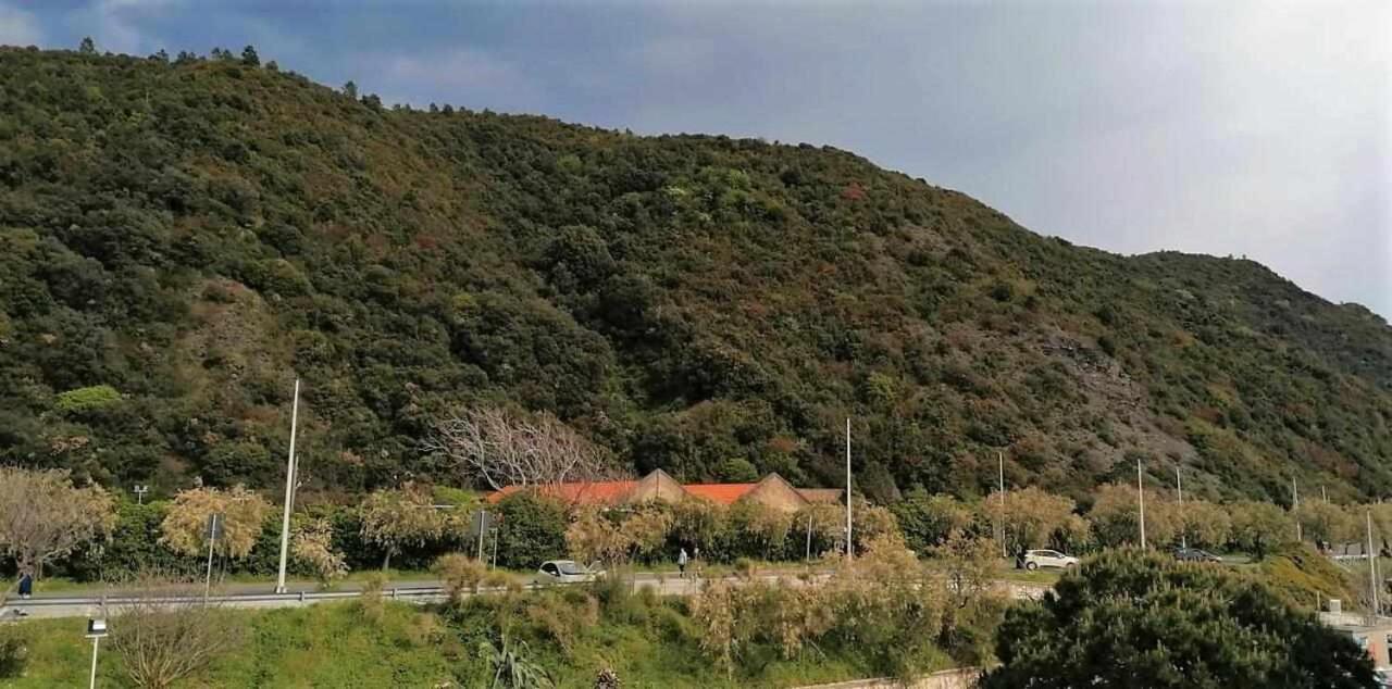 Maremosso Apartments Σέστρι Λεβάντε Εξωτερικό φωτογραφία